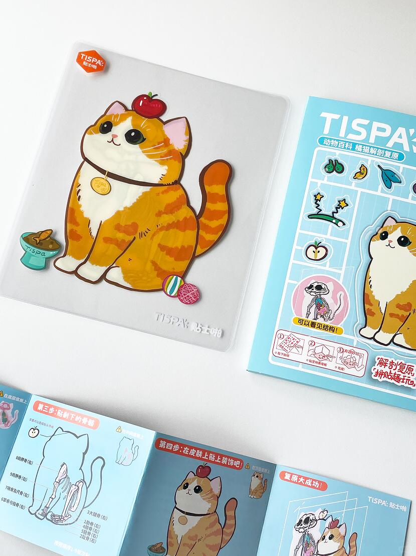 Miniature Cat Anatomy Sticker Kit 3D Scene Stickers