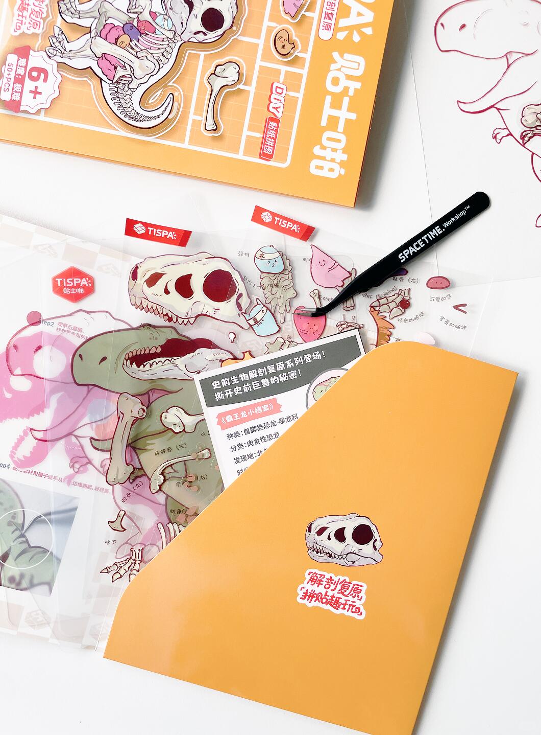 Miniature Cat Anatomy Sticker Kit 3D Scene Stickers
