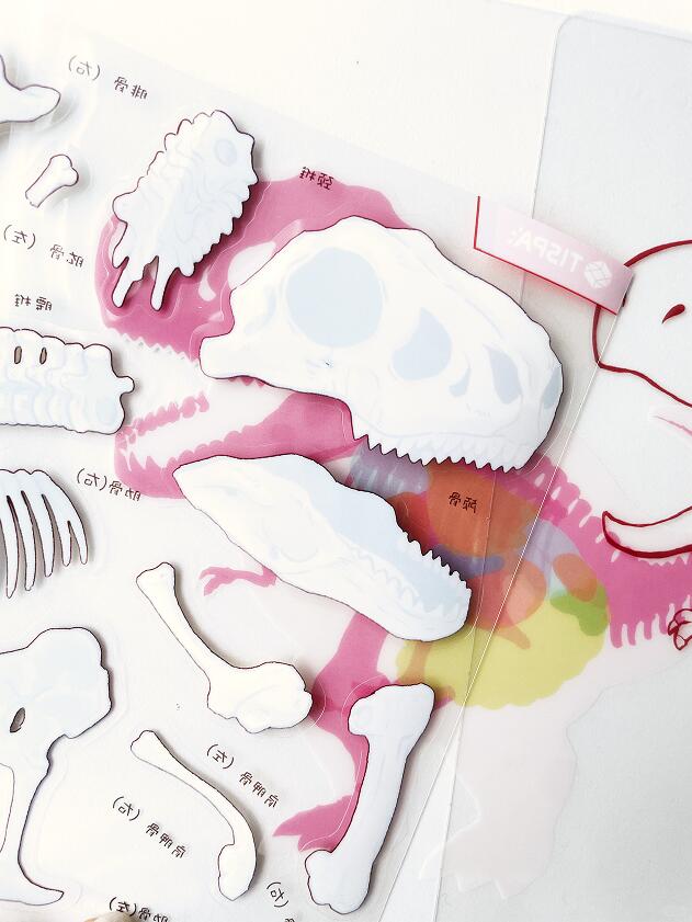 Miniature Cat Anatomy Sticker Kit 3D Scene Stickers