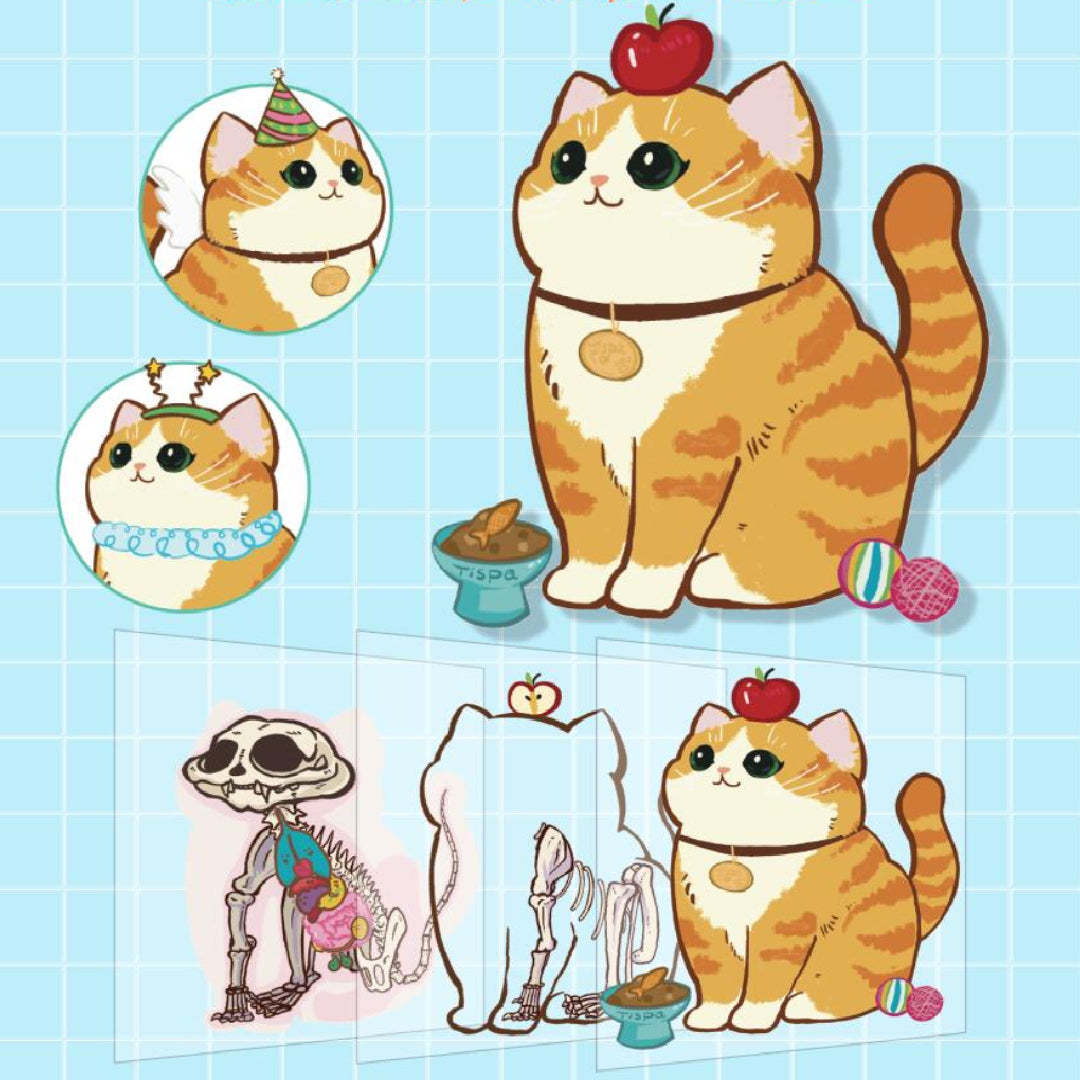 Miniature Cat Anatomy Sticker Kit 3D Scene Stickers